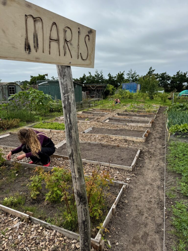Bord moestuin Stella Maris